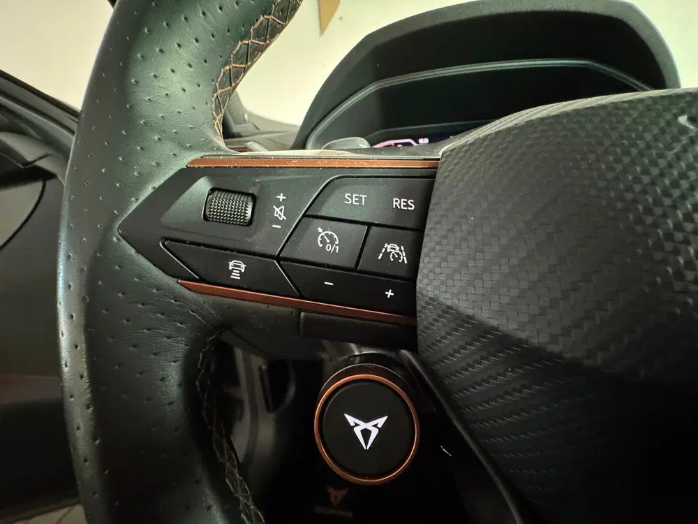 Cupra Formentor 2.0 TSI 4DRIVE Pano uit 2020, foto 12