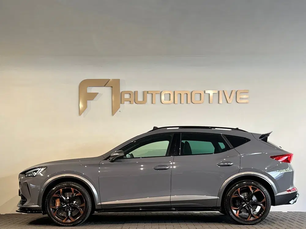 Cupra Formentor 2.0 TSI 4DRIVE Pano uit 2020, foto 8