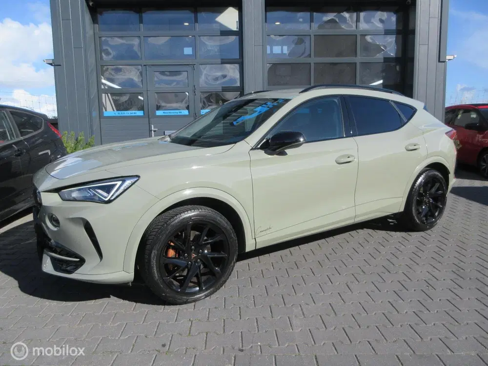 Cupra Formentor 1.5 TSI 87dkm Unieke kleur Geen 2e Automaa uit 2021