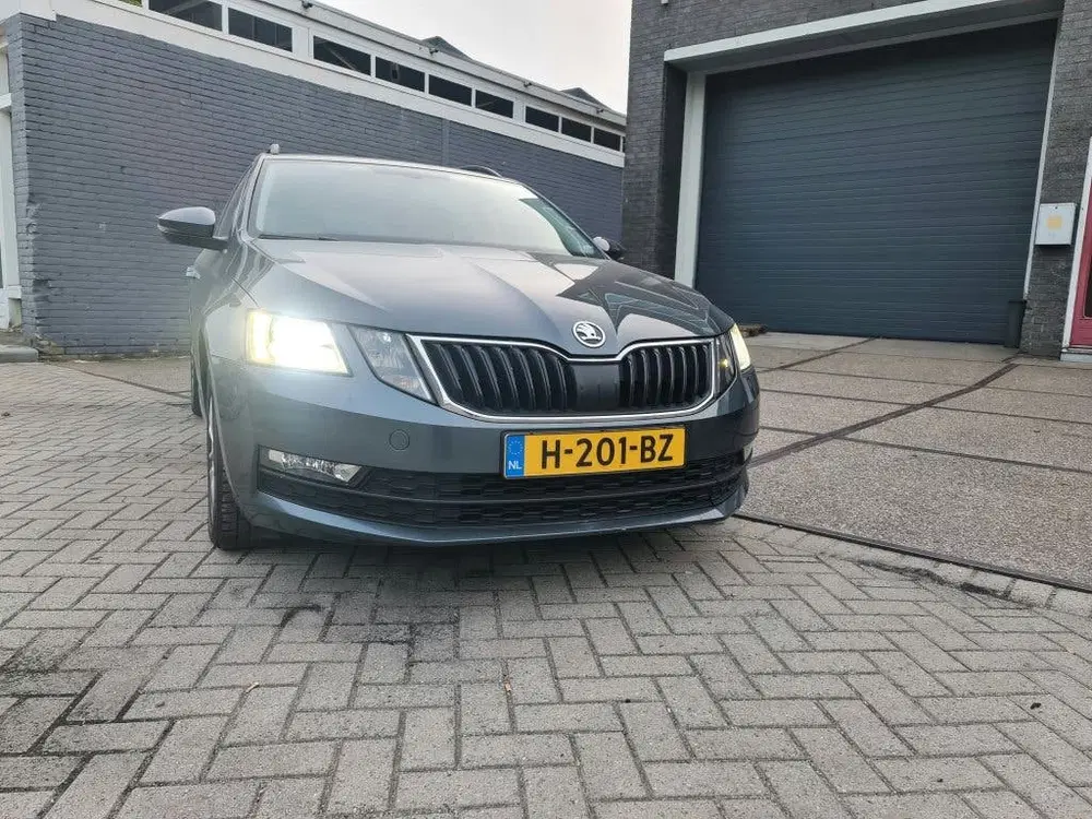Skoda Octavia Octavia 1.5 TSI Greentech 150pk Dsg-7 2019 uit 2019, foto 2