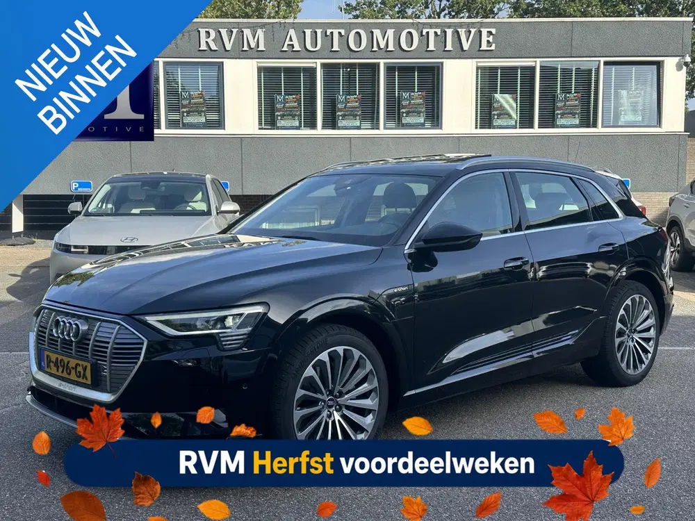 Audi e-tron 55 quattro Advanced edition Plus 95 kWh SO uit 2022