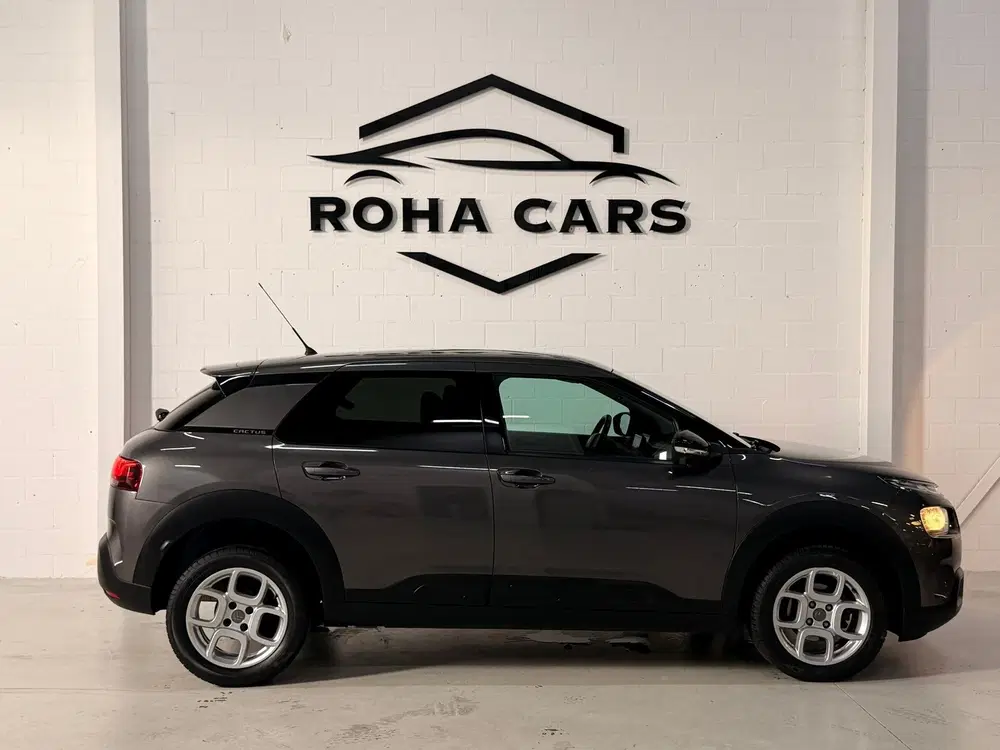 Citroën C4 Cactus Citroen C4 Cactus 1.2 PureTech Business *P uit 2019, foto 6