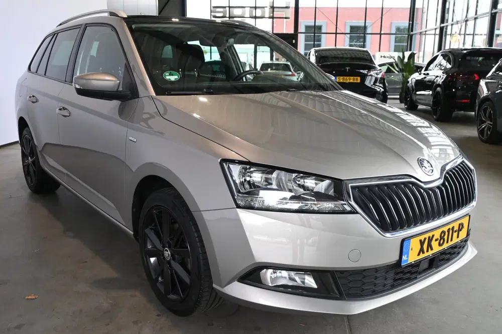Skoda Fabia 1.0 TSI Clever Clima Navigatie Panoramadak uit 2019, foto 5