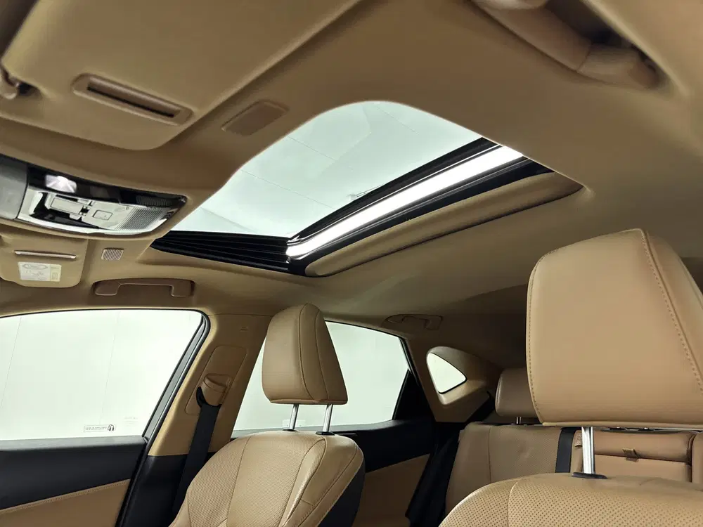 Lexus NX 450h+ AWD Executive Line uit 2023, foto 13