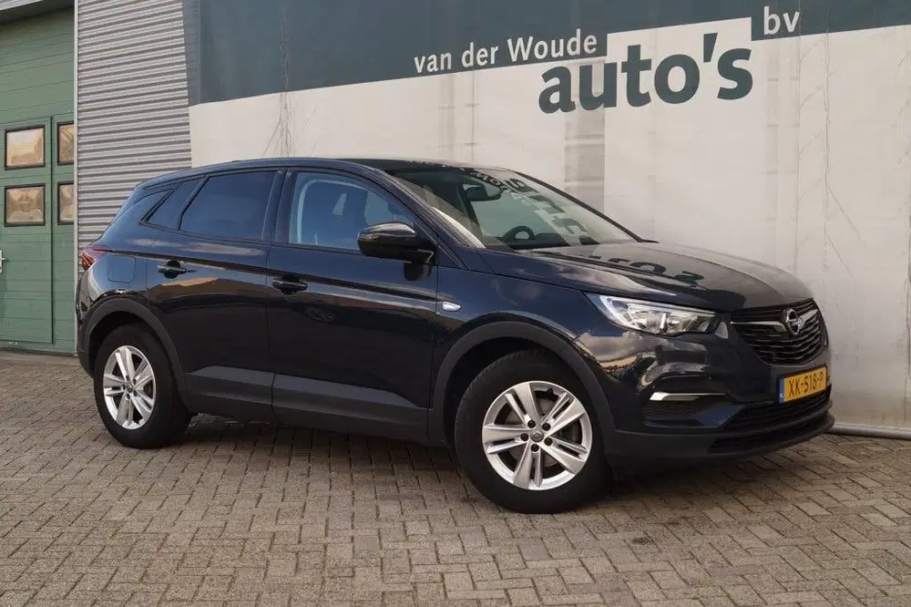 Opel Grandland 1.2 Turbo 130pk Business + -NAVI-ECC-PDC uit 2019, foto 3