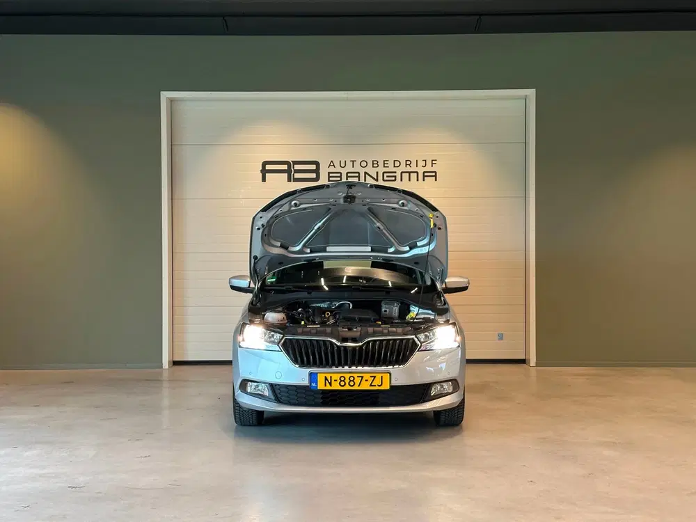 Skoda Fabia 1.0 TSI AUTOMAAT AMBITION uit 2021, foto 12