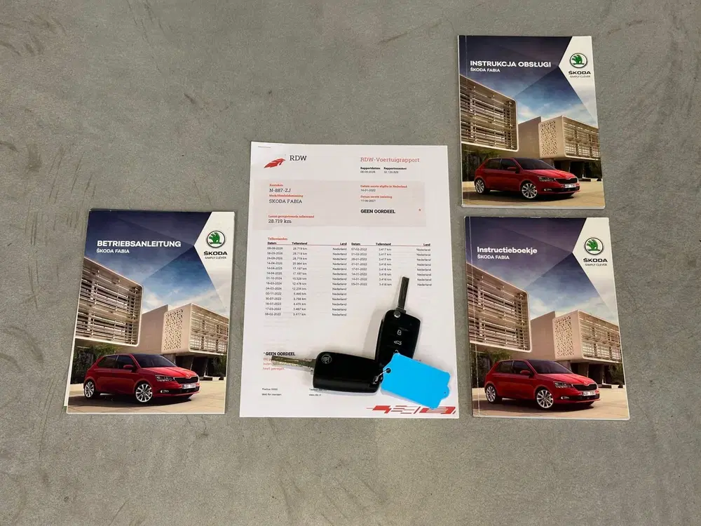 Skoda Fabia 1.0 TSI AUTOMAAT AMBITION uit 2021, foto 4