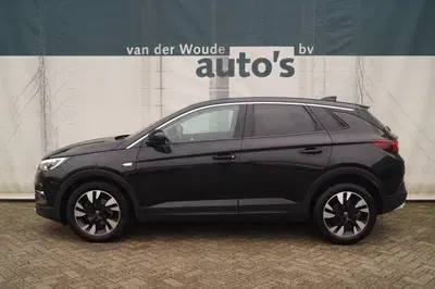 Opel Grandland 1.2 Turbo 130pk Business Executive -NAVI-E uit 2020