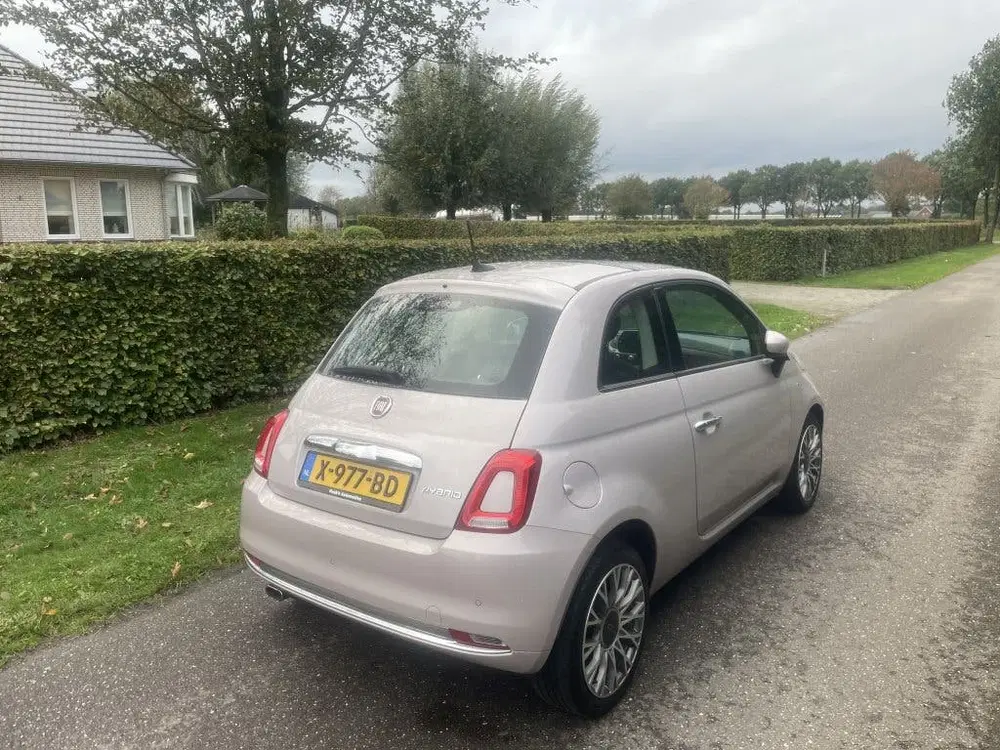 Fiat 500 1.0 Hybr. Pink uit 2020, foto 4
