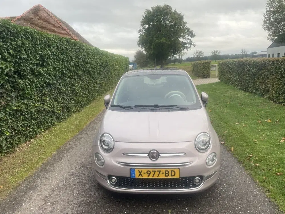 Fiat 500 1.0 Hybr. Pink uit 2020, foto 7