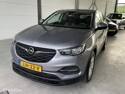 Opel Grandland 1.2 Turbo Edition uit 2019