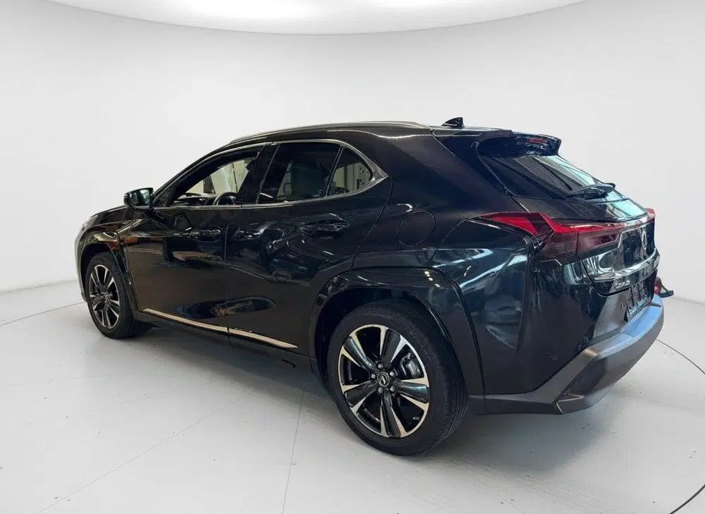 Lexus UX 250h AWD Executive Line + President Pack uit 2023, foto 10