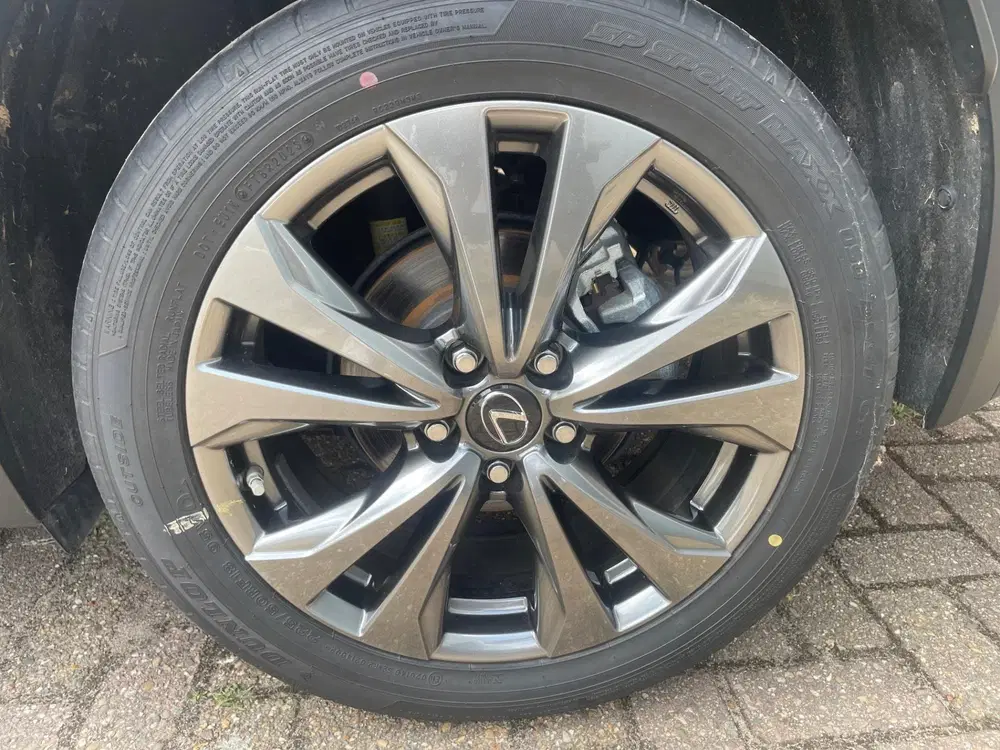 Lexus UX 250h F SPORT Design STOELVERWARMING LEDER uit 2024, foto 10