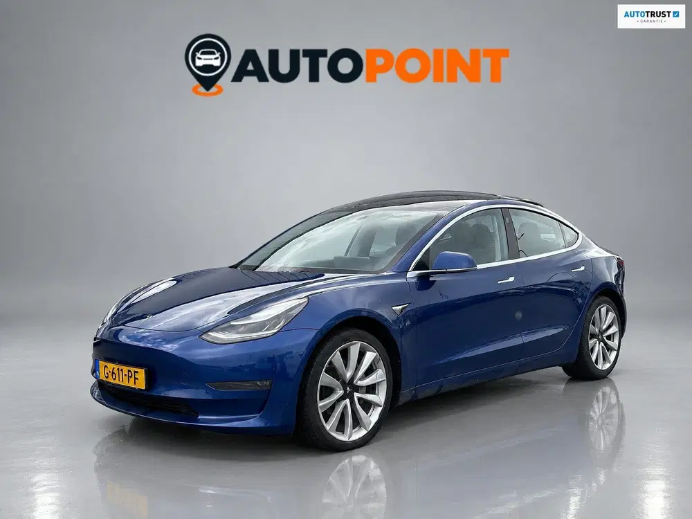 Tesla Model 3 Long Range AWD 75 kWh TREKHAAK uit 2019