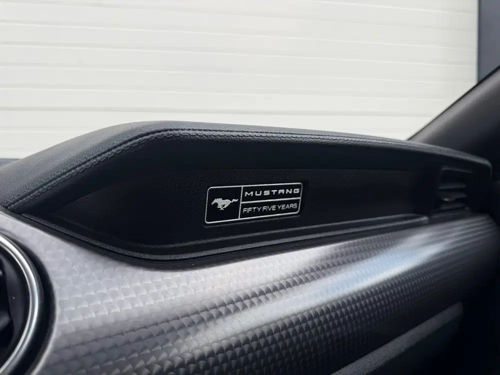 Ford Mustang 5.0 V8 GT DUITS KENTEKEN uit 2020, foto 13
