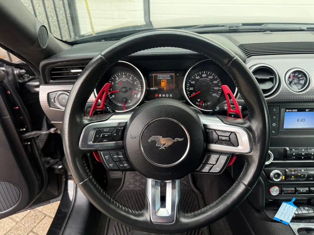 Ford Mustang 5.0 V8 GT DUITS KENTEKEN uit 2020, foto 9