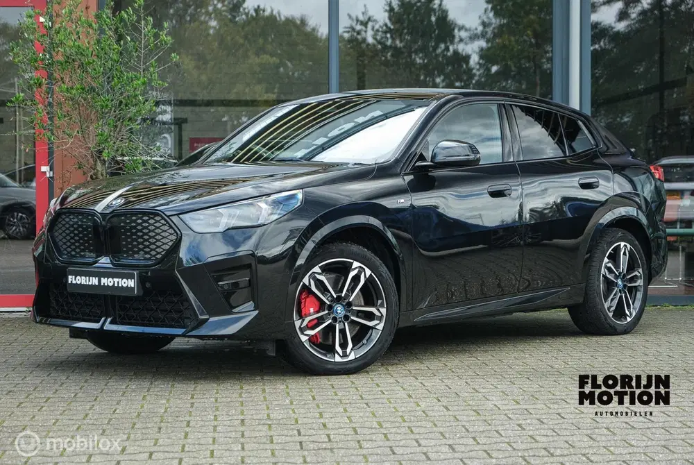 BMW iX2 eDrive20 67 kWh uit 2024