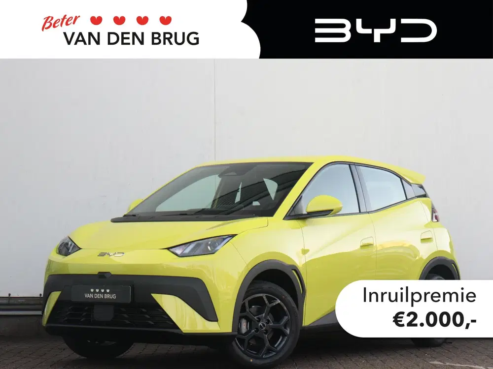 BYD Dolphin Surf Comfort 43 kWh uit 2026