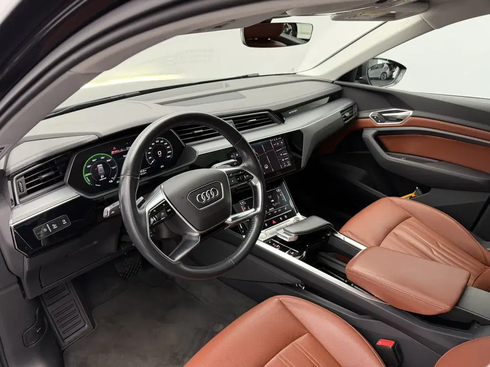 Audi e-tron e-tron 50 quattro Launch edition plus 71 k uit 2020, foto 12