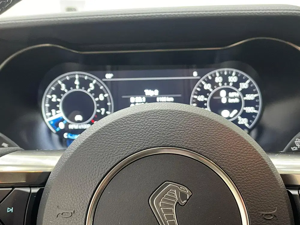 Ford Mustang GT500 Shelby Track Pack (bj 2021 uit 2021, foto 15