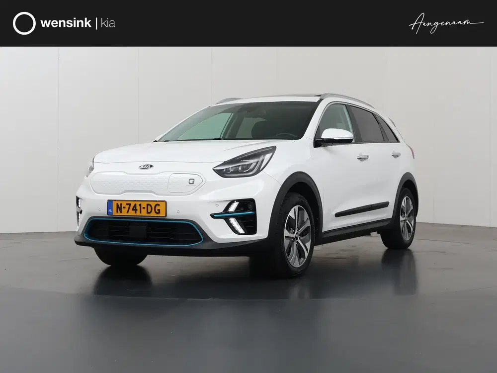 Kia Niro DynamicPlusLine 64 kWh uit 2021