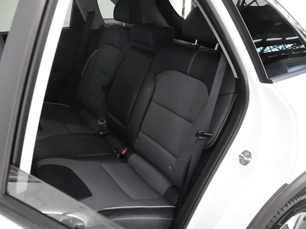 Kia Niro DynamicPlusLine 64 kWh uit 2021, foto 11