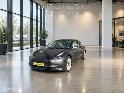 Tesla Model 3 Long Range AWD 75 kWh uit 2019