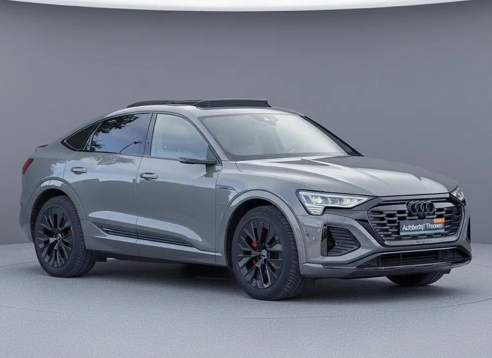 Audi Q8 55 quattro S Edition 115 kWh uit 2024, foto 5