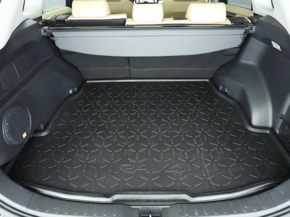 Toyota RAV 4 2.5 Hybrid Executive uit 2019, foto 9