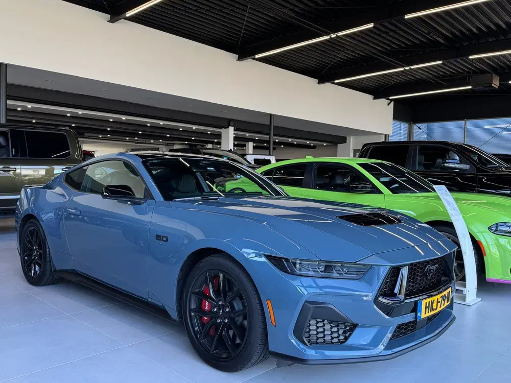 Ford Mustang 5.0 V8 GT BALCK FRIDAY DEAL NITE PONY uit 2024, foto 4