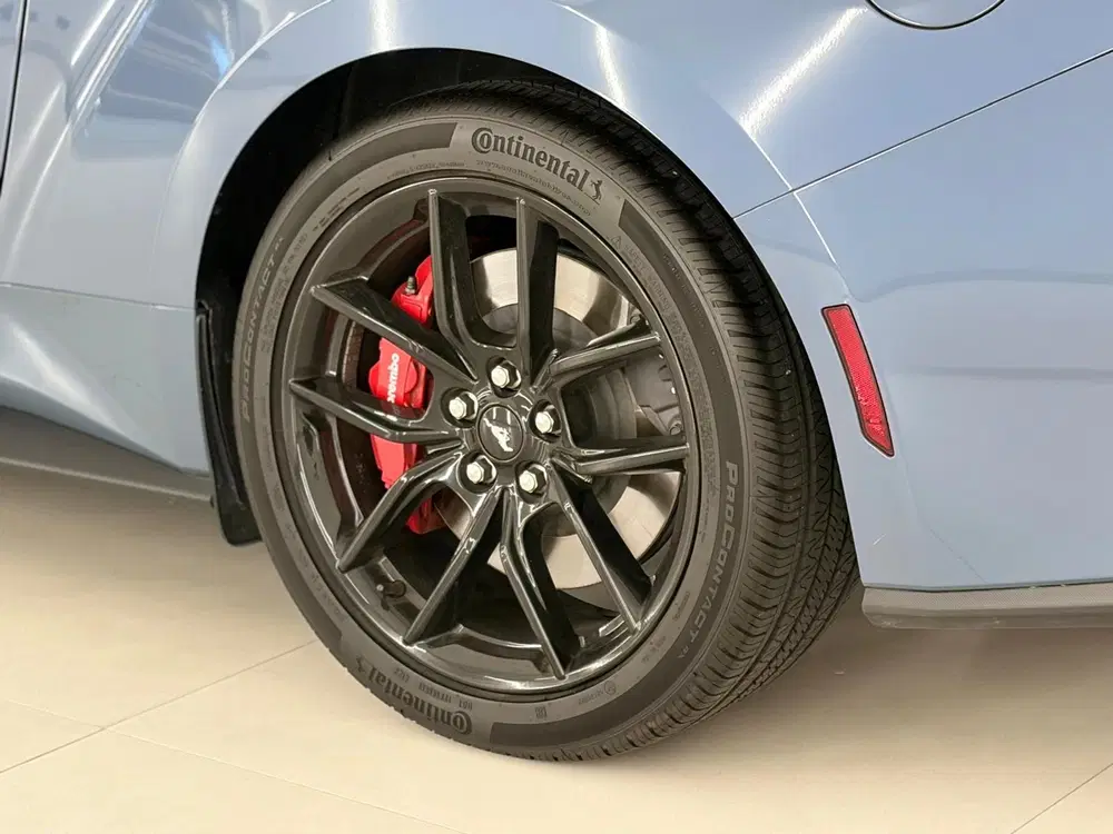 Ford Mustang 5.0 V8 GT BALCK FRIDAY DEAL NITE PONY uit 2024, foto 9