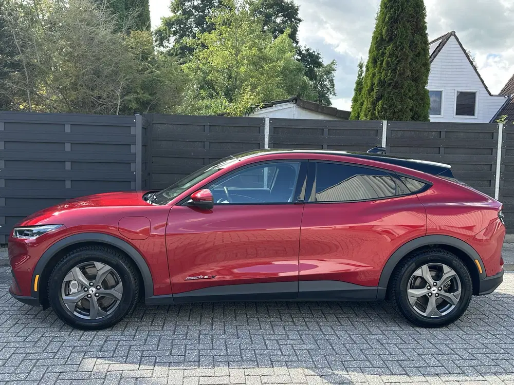 Ford Mustang Mach-E Extended RWD 98 kWh uit 2021, foto 5