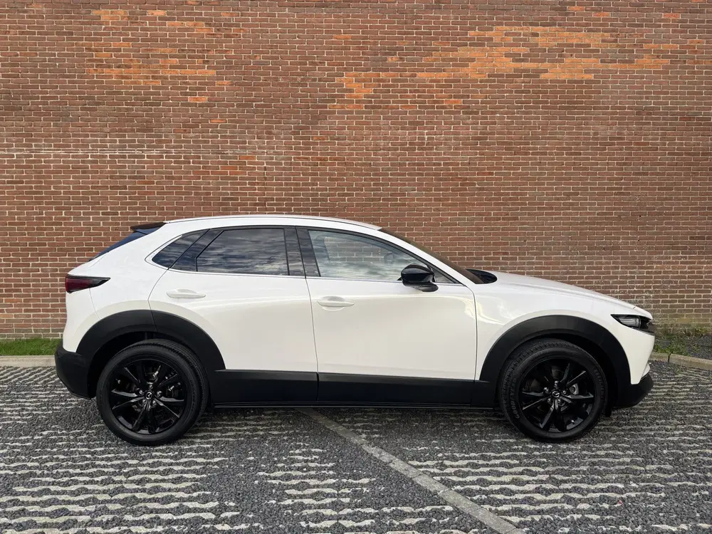 Mazda CX-30 2.0 e-SkyActiv-X 186 M Hybrid Homura NAVI uit 2023, foto 3
