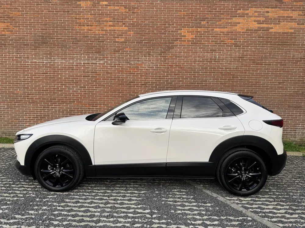 Mazda CX-30 2.0 e-SkyActiv-X 186 M Hybrid Homura NAVI uit 2023, foto 4