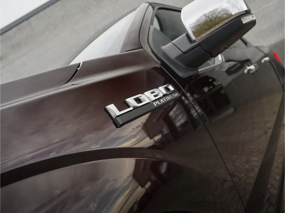 Ford F 150 USA F-150 Platinum 3.5 V6 Ecoboost SuperCr uit 2021, foto 14