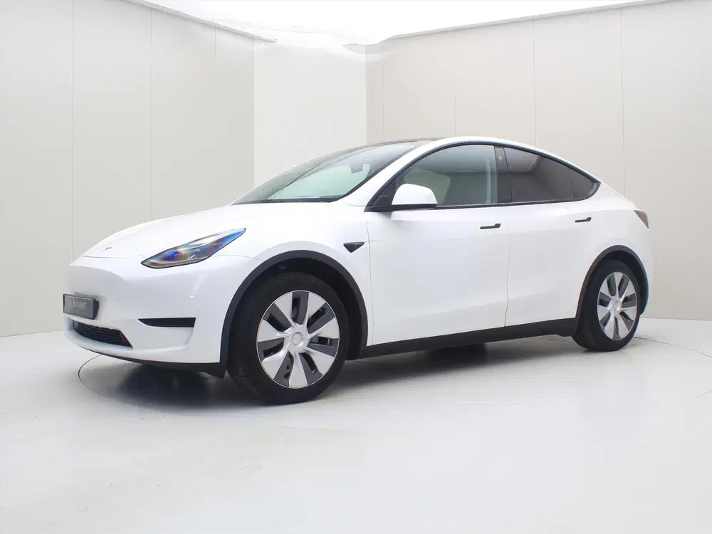 Tesla Model Y Long Range RWD 75kWh 299pk 95% SoH [ AMD R uit 2024, foto 7