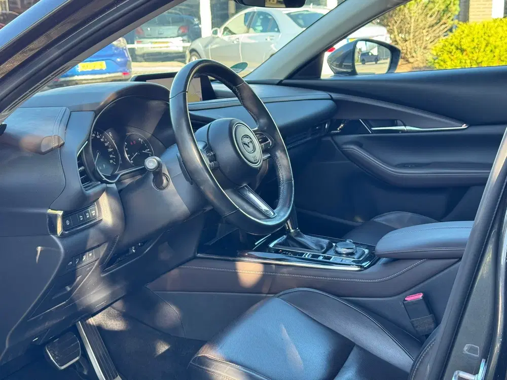 Mazda CX-30 2.0 e-SkyActiv-X M Hybrid Luxury uit 2021, foto 11