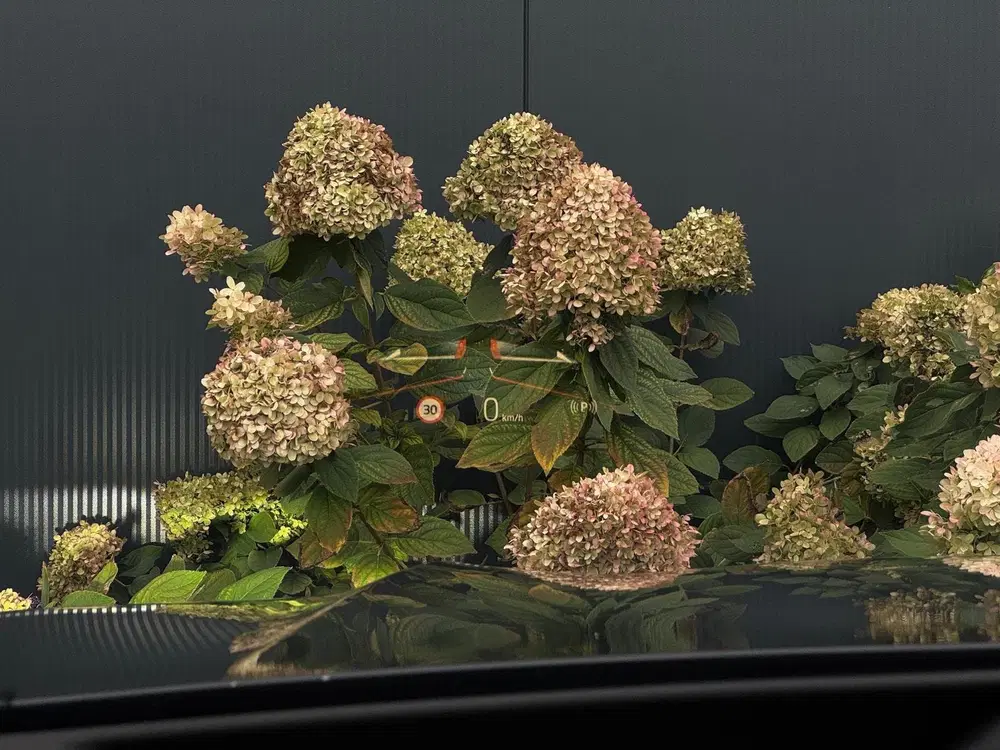 BMW X5 XDrive50e M PACK M24 NAVI uit 2023, foto 14