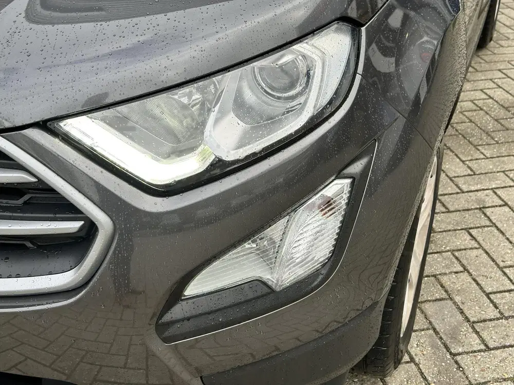 Ford EcoSport 1.0 EcoBoost 125pk Trend Ultimate uit 2019, foto 10