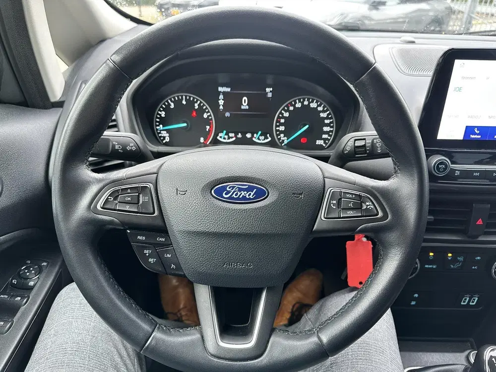 Ford EcoSport 1.0 EcoBoost 125pk Trend Ultimate uit 2019, foto 7