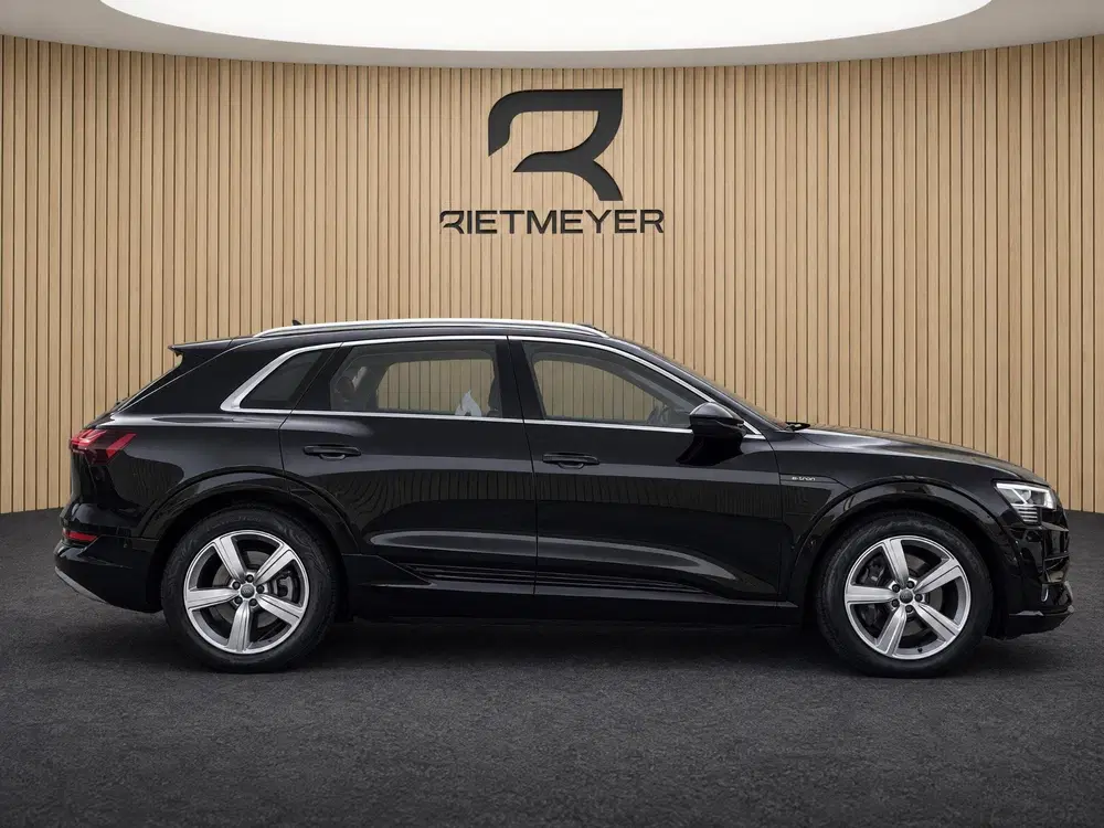 Audi e-tron e-tron 50 quattro Launch edition plus 71 k uit 2020, foto 11