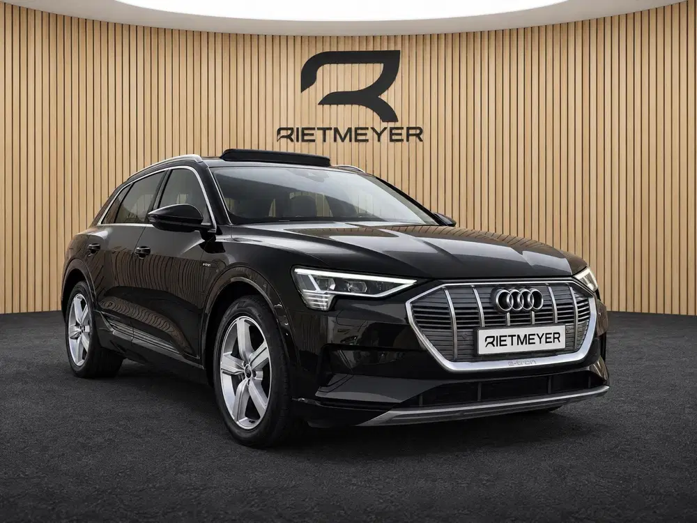 Audi e-tron e-tron 50 quattro Launch edition plus 71 k uit 2020, foto 12