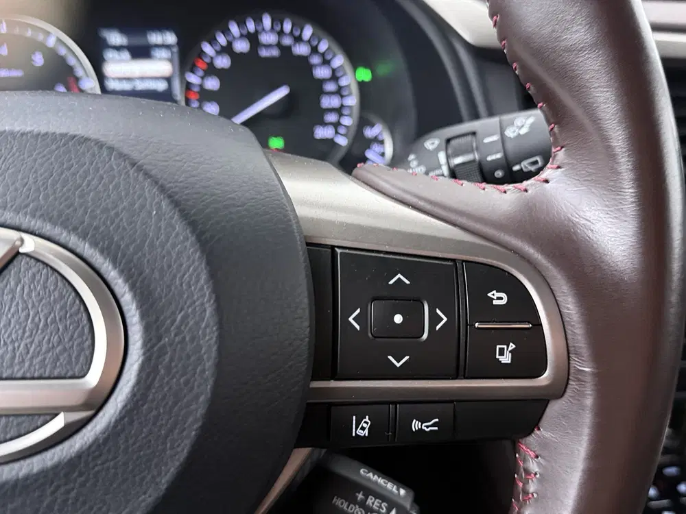 Lexus RX 450h 4WD Luxury Line uit 2019, foto 12