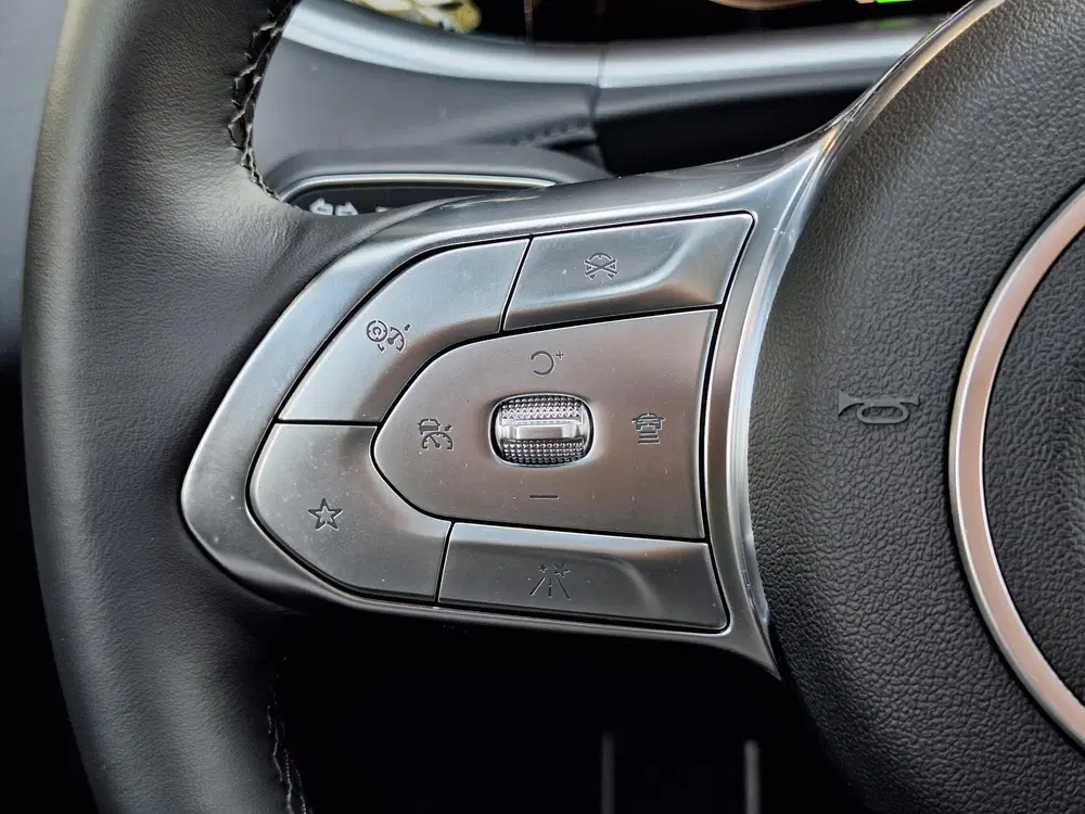 Voyah Free Limited Edition Business 4WD 106 kWh uit 2026, foto 14