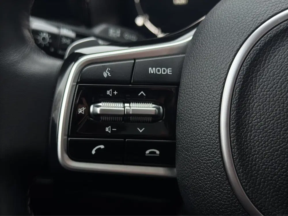 Kia Sorento 1.6 PHEV 4WD ExecutiveLine 7p. uit 2021, foto 15