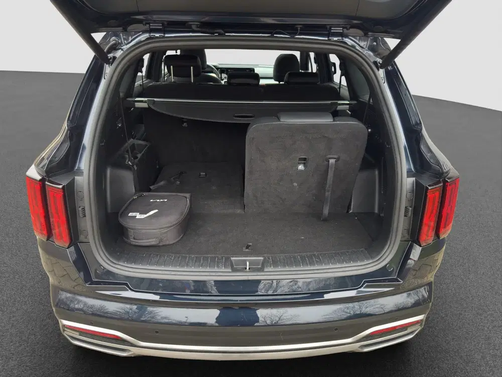 Kia Sorento 1.6 PHEV 4WD ExecutiveLine 7p. uit 2021, foto 4