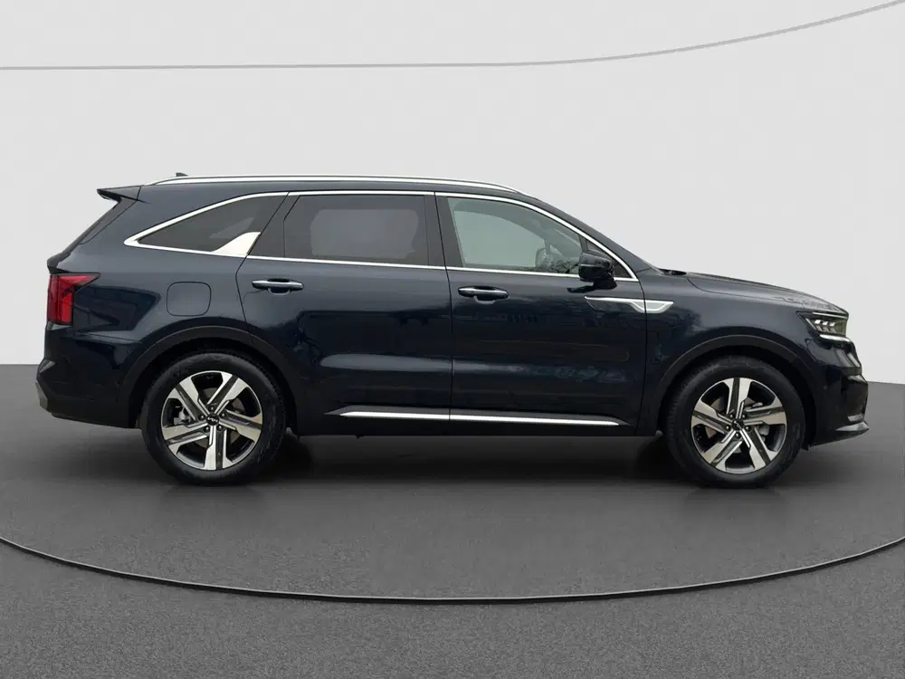Kia Sorento 1.6 PHEV 4WD ExecutiveLine 7p. uit 2021, foto 6