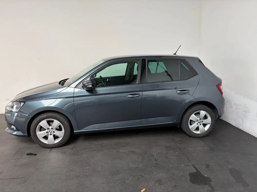 Skoda Fabia 1.0 TSI Ambition. Carplay.1e Eigenaar. APK uit 2020, foto 2