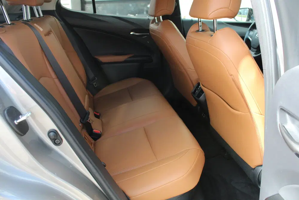 Lexus UX 250h Luxury Line uit 2019, foto 11