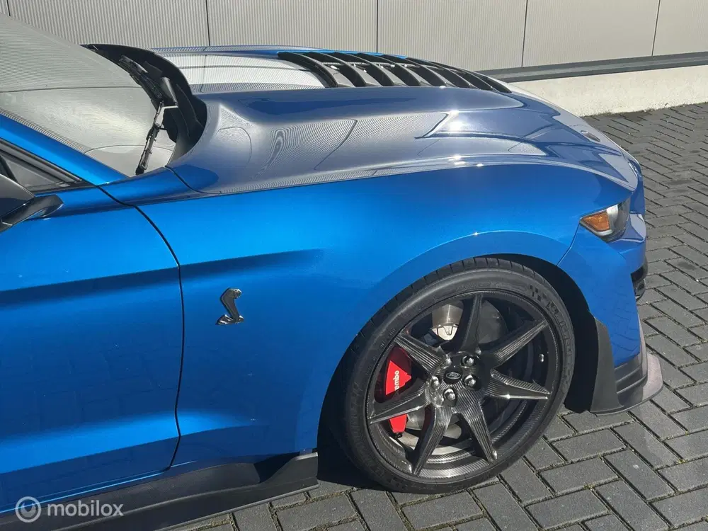 Ford Mustang USA Mustang GT500 Shelby Trackpack uit 2022, foto 10